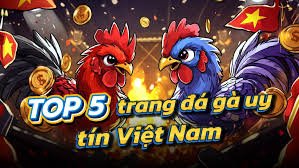 Top 5 Chiến Kê DAGA Bất Bại Mọi Đấu Trường